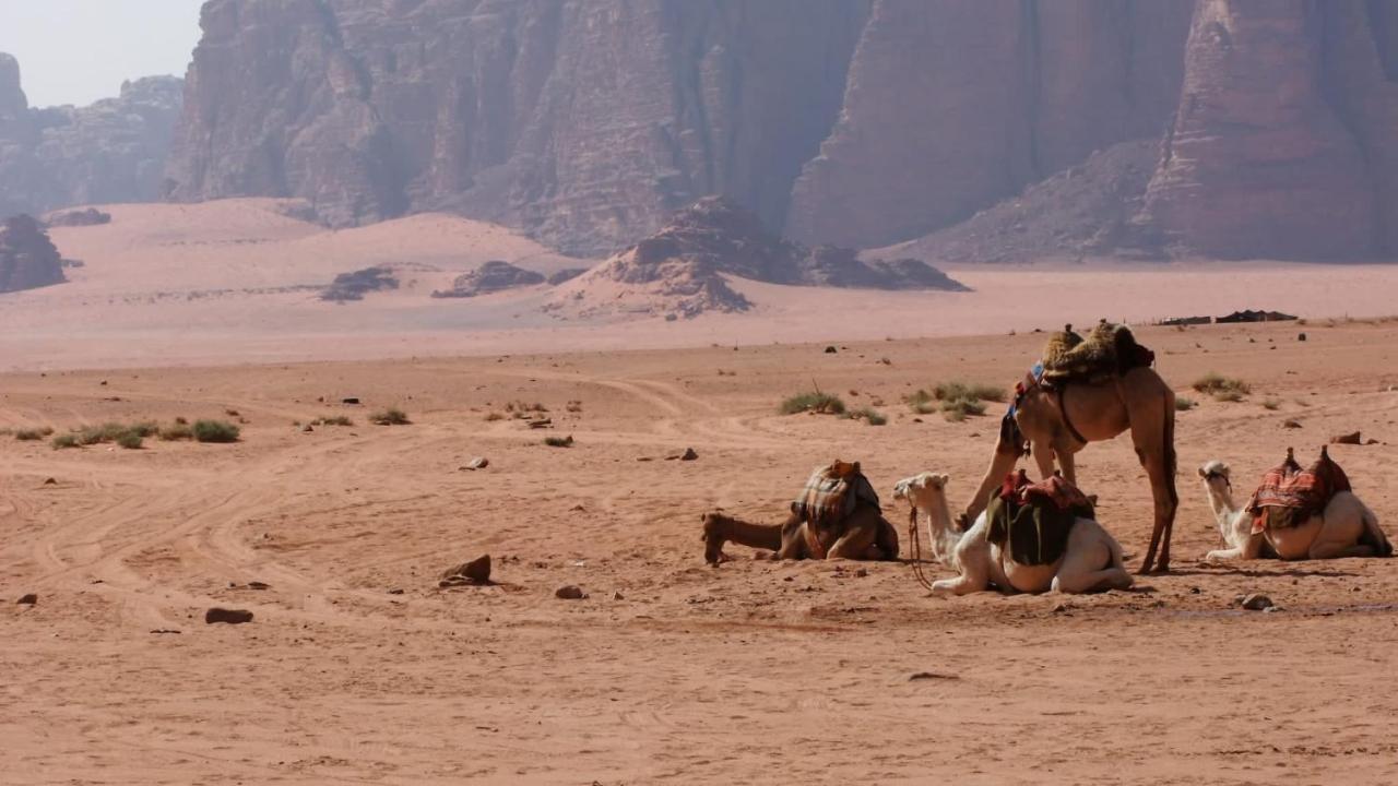 Bedouin Memories Camp Hotel Wadi Rum Bagian luar foto